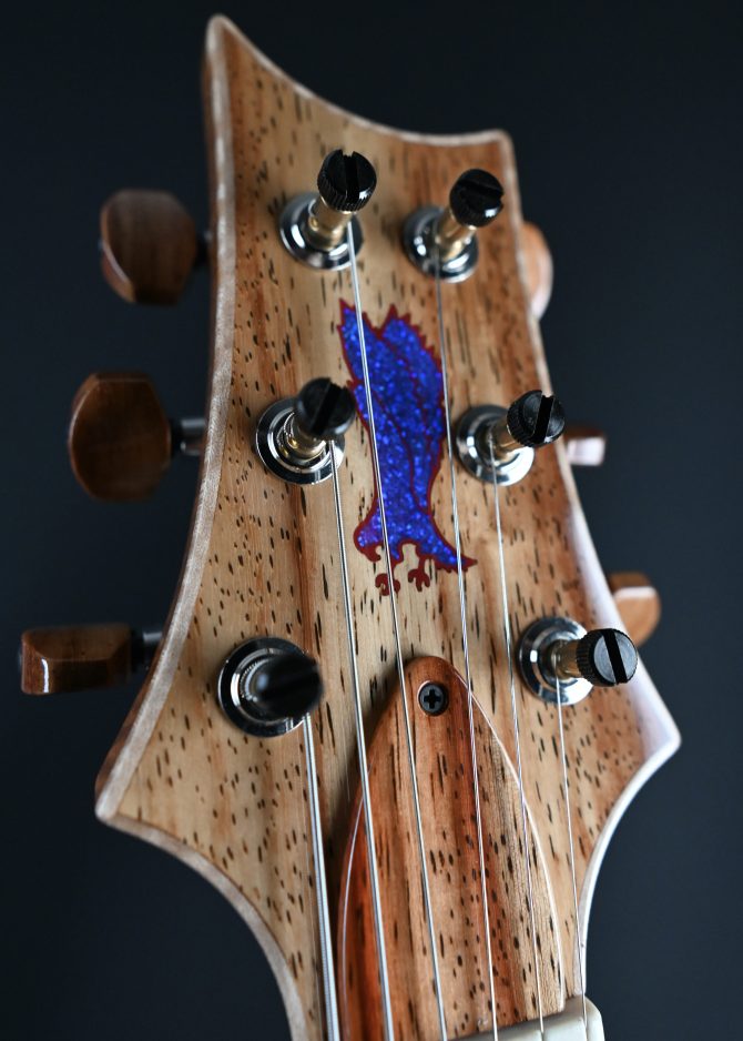 PRS Private Stock #12193 Padauk Vela Semi-Hollow