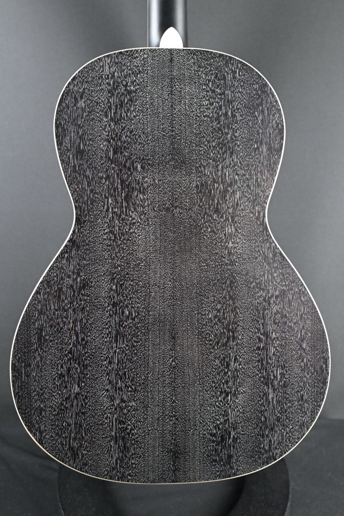 PRS SE P20E Parlor Acoustic Guitar Dog Hair #214