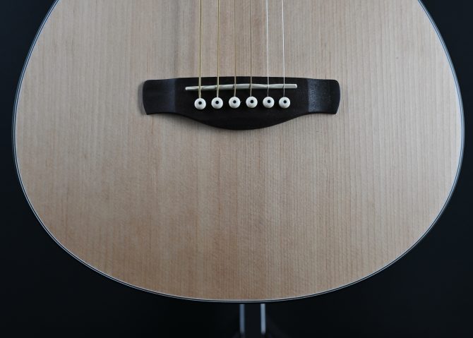 Ibanez PN2MD-OPN Open Pore Natural Parlor Acoustic #413