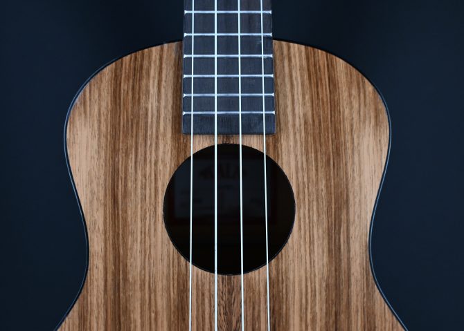 Kala KA-PWT Pacific Walnut Tenor Ukulele #2512