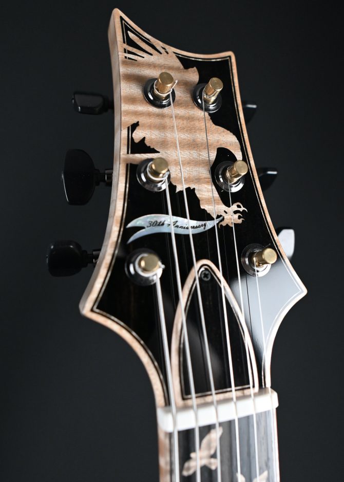 PRS Private Stock 30th Anniversary "Birds of a Feather" Hollowbody I #179