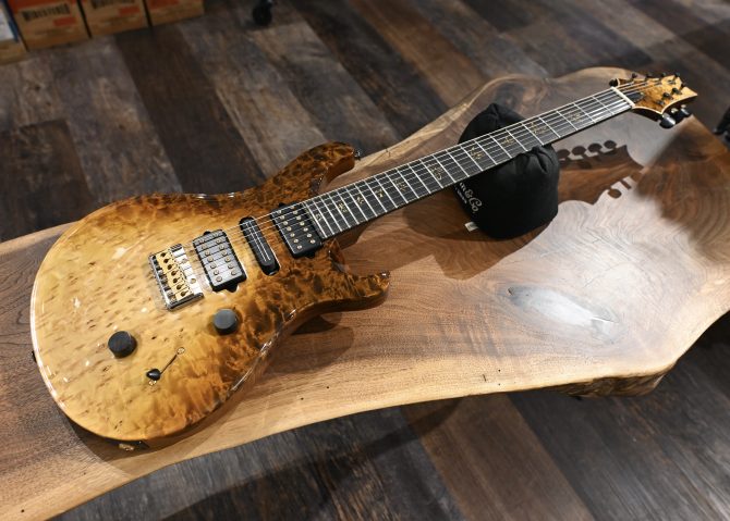 PRS Custom 24 7-String Semi Hollow Sandstorm Dragon's Breath Private Stock #12192