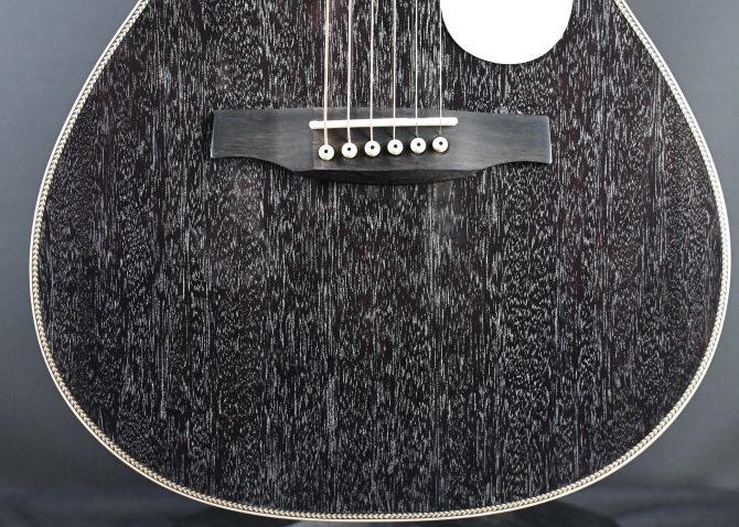 PRS SE P20E Parlor Acoustic Guitar Dog Hair #214