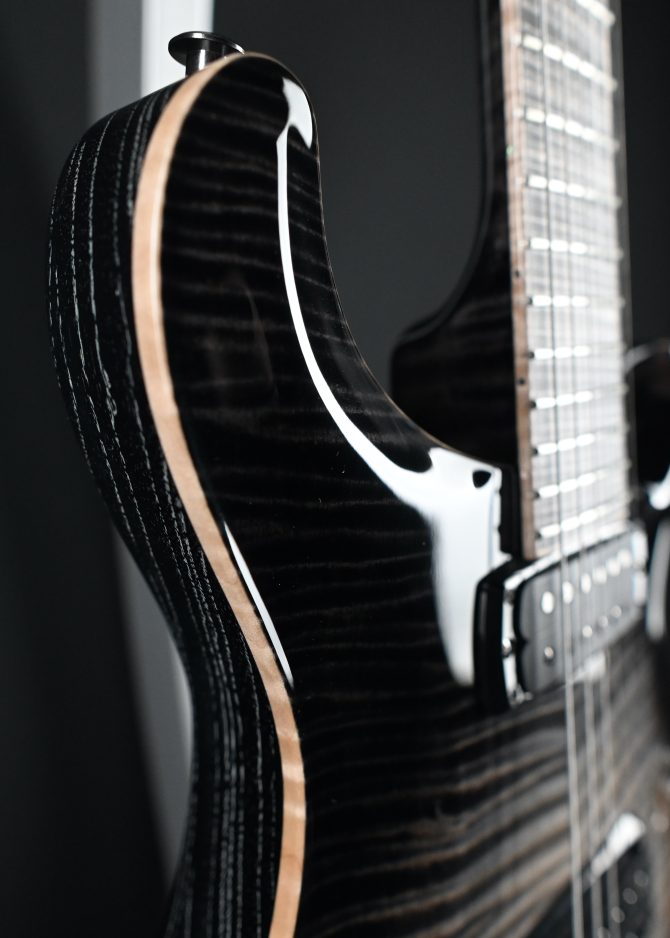 PRS Private Stock 30th Anniversary "Birds of a Feather" Hollowbody I #179