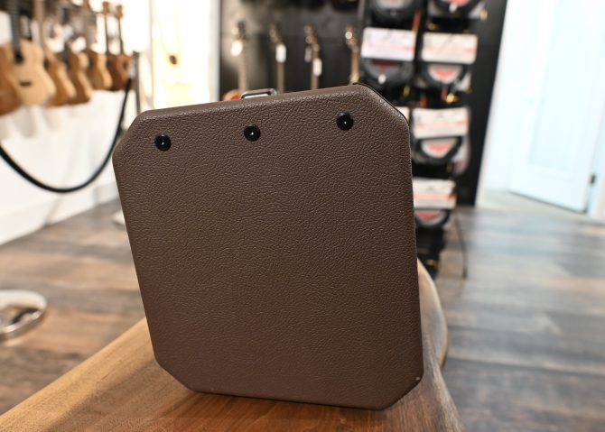 Fishman Loudbox Mini Acoustic Guitar Amplifier