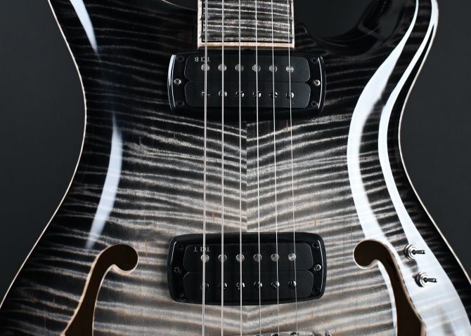 PRS Private Stock 30th Anniversary "Birds of a Feather" Hollowbody I #179