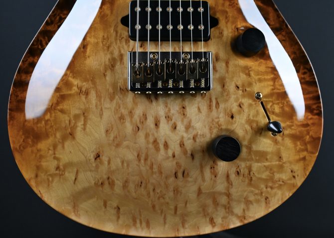 PRS Custom 24 7-String Semi Hollow Sandstorm Dragon's Breath Private Stock #12192