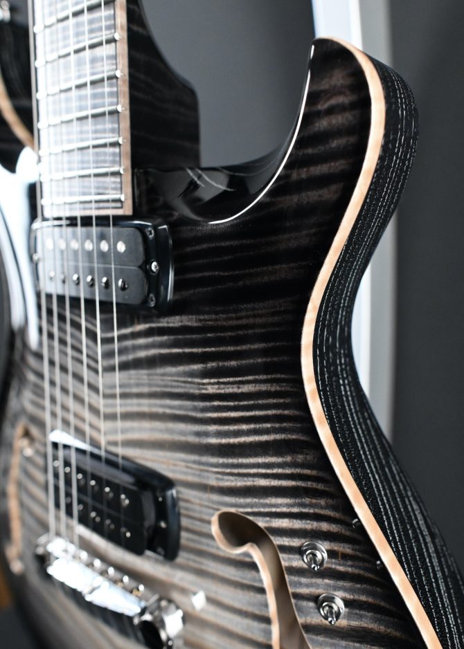 PRS Private Stock 30th Anniversary "Birds of a Feather" Hollowbody I #179
