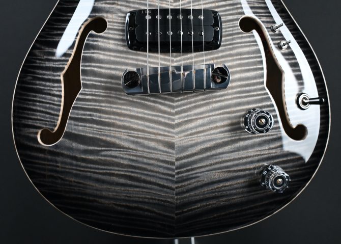 PRS Private Stock 30th Anniversary "Birds of a Feather" Hollowbody I #179