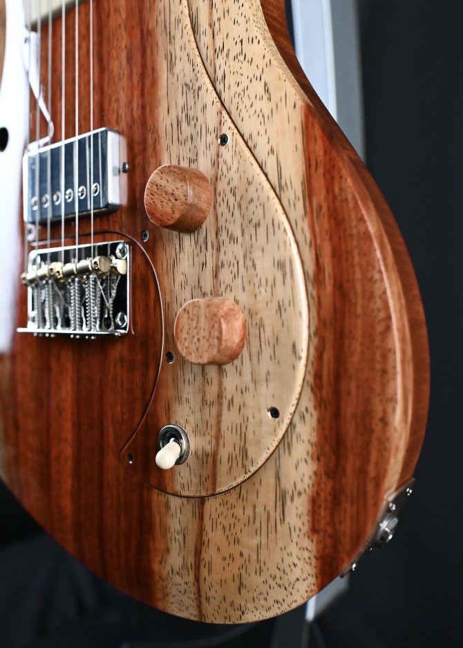 PRS Private Stock #12193 Padauk Vela Semi-Hollow