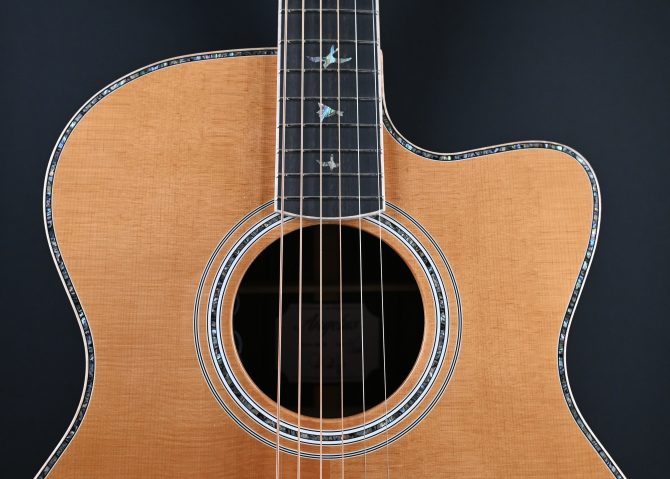 PRS SE Angelus A60E Natural #501