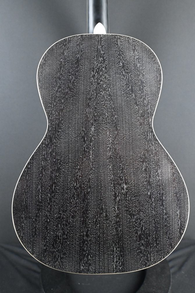 PRS SE P20E Parlor Acoustic Guitar Dog Hair #517
