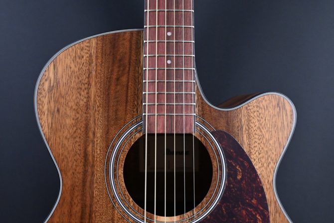 Ibanez PC50WSCE-OPB Open Pore Brown Acoustic Guitar #655