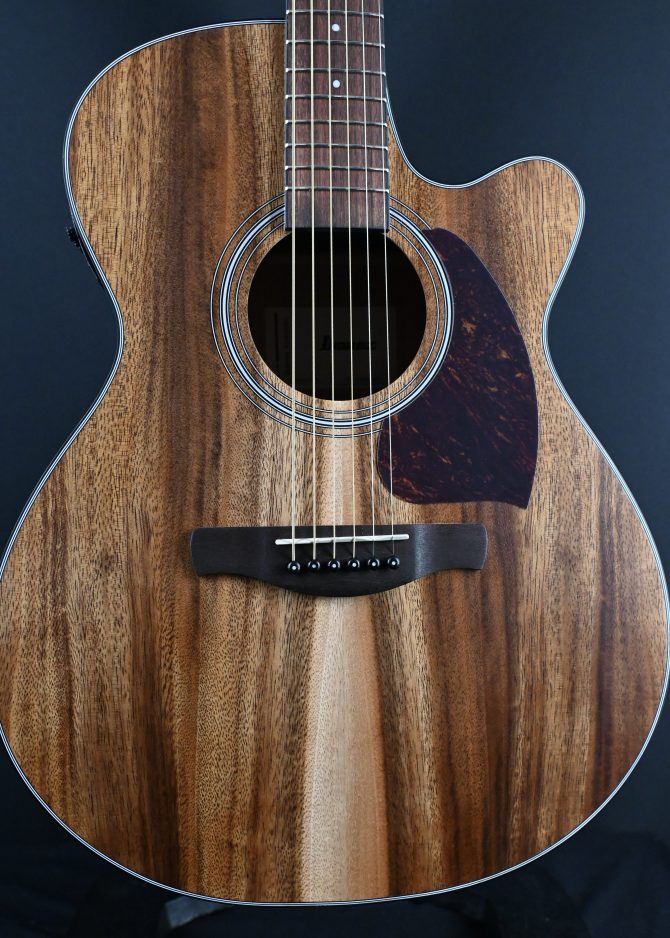 Ibanez PC50WSCE-OPB Open Pore Brown Acoustic Guitar #694