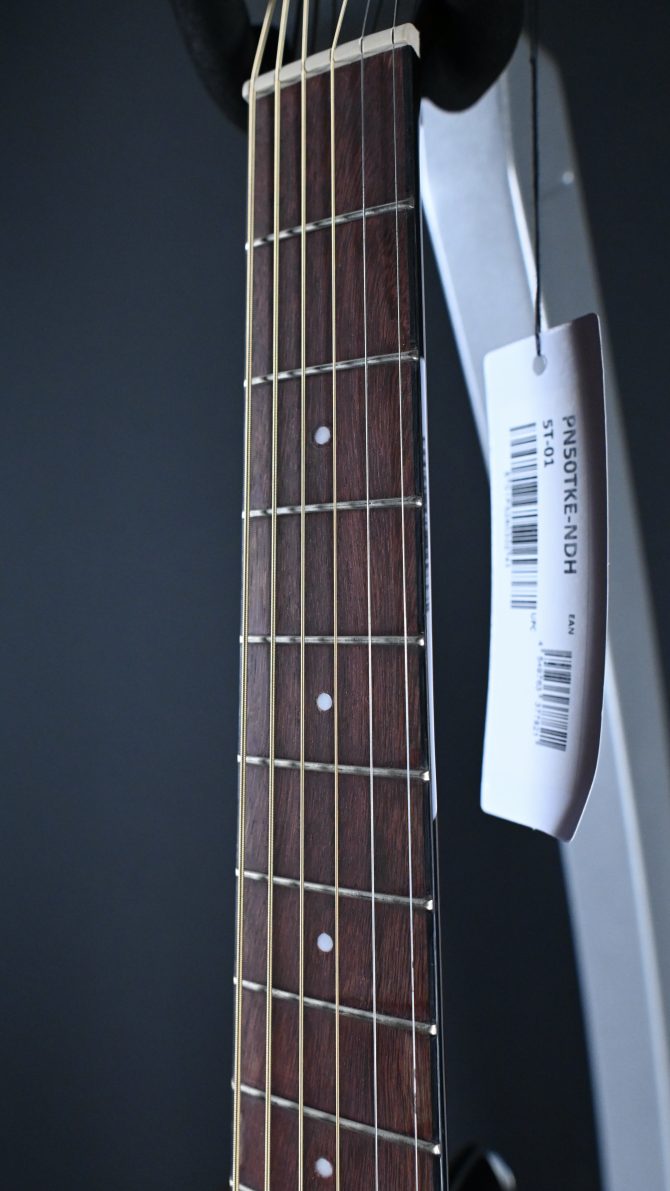 Ibanez PN50TKE-NDH Natural w/ Dark Brown Sunburst Back and Sides #741
