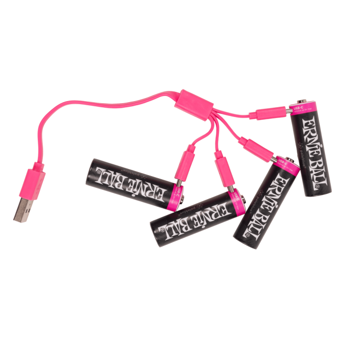 Ernie Ball USB-C Rechargeable AA Battery by Paleblue - 4-pack