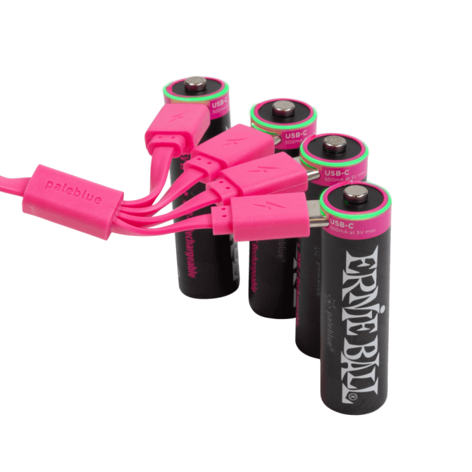 Ernie Ball USB-C Rechargeable AA Battery by Paleblue - 4-pack