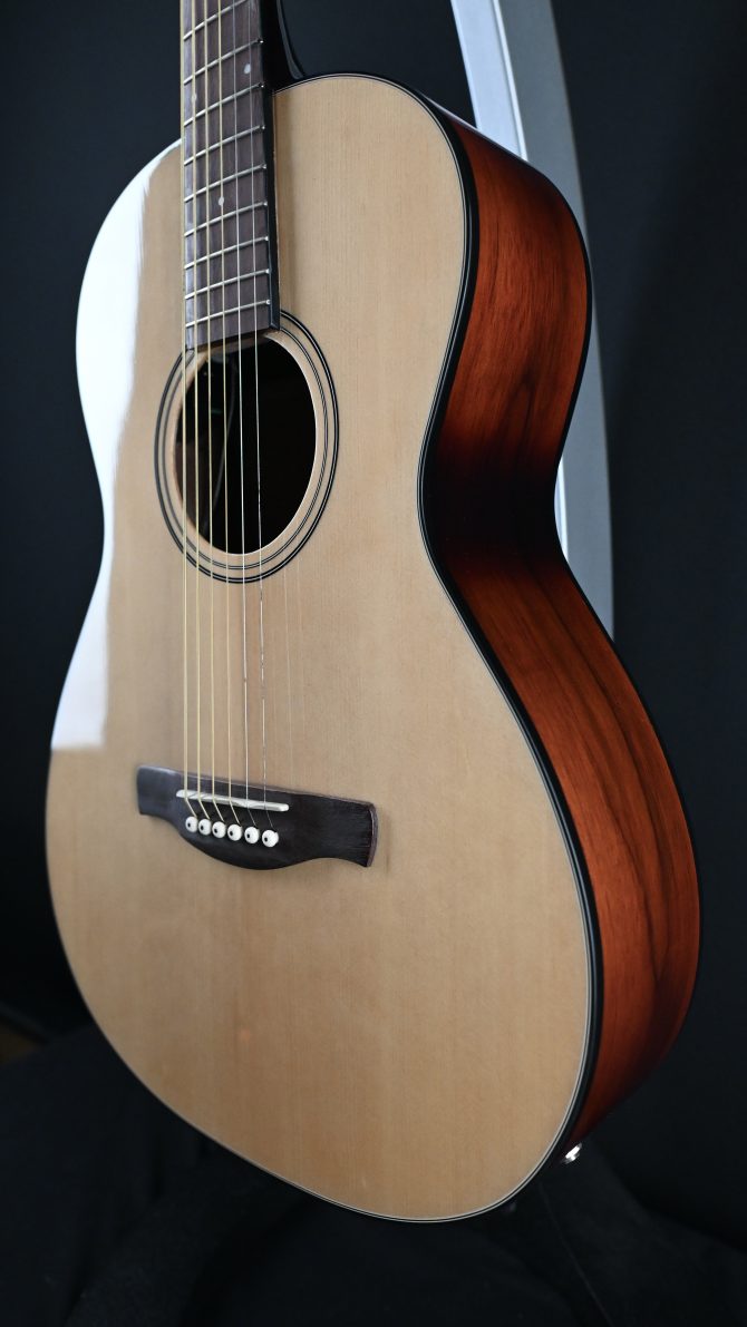 Ibanez PN50TKE-NDH Natural w/ Dark Brown Sunburst Back and Sides #741