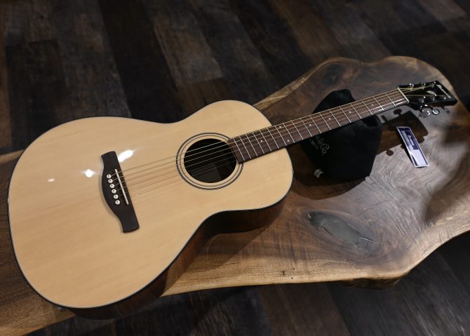 Ibanez PN50TKE-NDH Natural w/ Dark Brown Sunburst Back and Sides #741