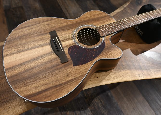 Ibanez PC50WSCE-OPB Open Pore Brown Acoustic Guitar #694