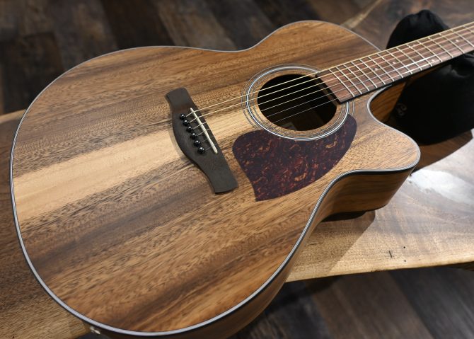 Ibanez PC50WSCE-OPB Open Pore Brown Acoustic Guitar #655