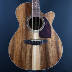 Ibanez PC50WSCE-OPB Open Pore Brown Acoustic Guitar #655