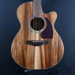 Ibanez PC50WSCE-OPB Open Pore Brown Acoustic Guitar #694