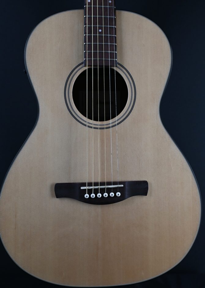 Ibanez PN50TKE-NDH Natural w/ Dark Brown Sunburst Back and Sides #741