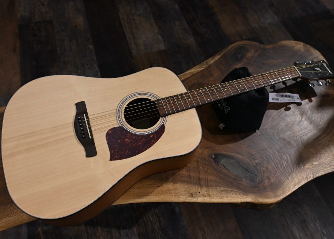 Ibanez PF50-OPN Open Pore Natural Acoustic Guitar #117