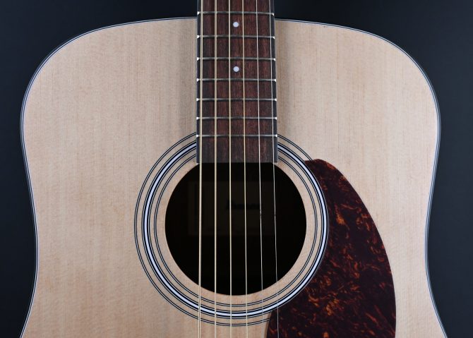Ibanez PF50-OPN Open Pore Natural Acoustic Guitar #117