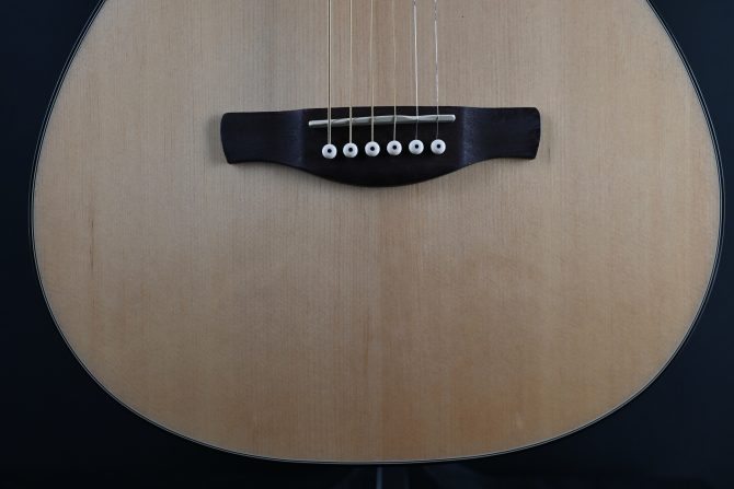 Ibanez PN50TKE-NDH Natural w/ Dark Brown Sunburst Back and Sides #741