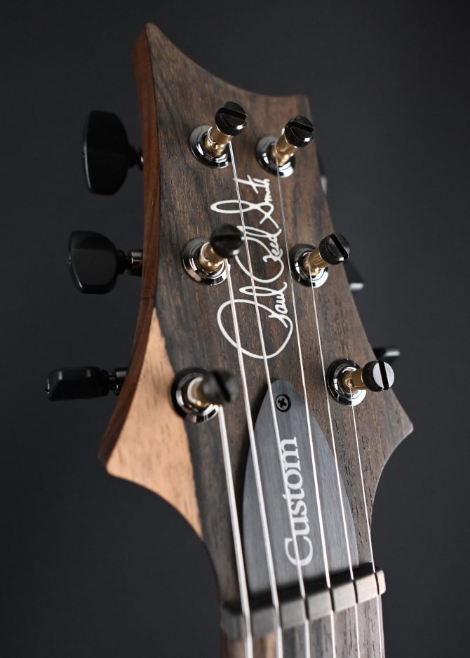 PRS Wood Library Custom 24 Piezo 10-Top Gray Black Fade with Charcoal Back #605