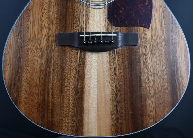 Ibanez PC50WSCE-OPB Open Pore Brown Acoustic Guitar #655