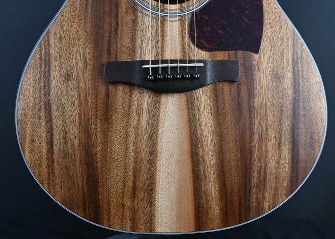 Ibanez PC50WSCE-OPB Open Pore Brown Acoustic Guitar #694