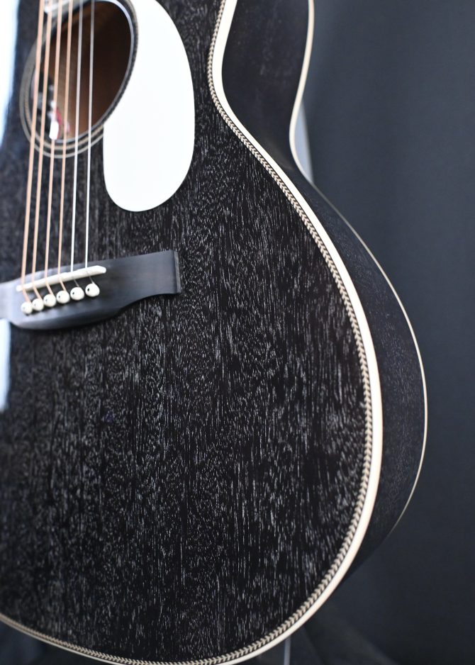 PRS SE P20E Parlor Acoustic Guitar Dog Hair #517