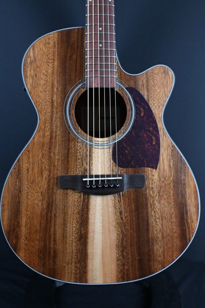 Ibanez PC50WSCE-OPB Open Pore Brown Acoustic Guitar #655