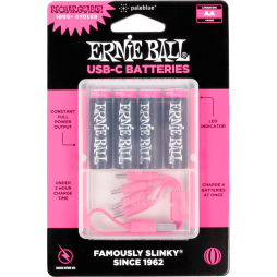 Ernie Ball USB-C Rechargeable AA Battery by Paleblue - 4-pack