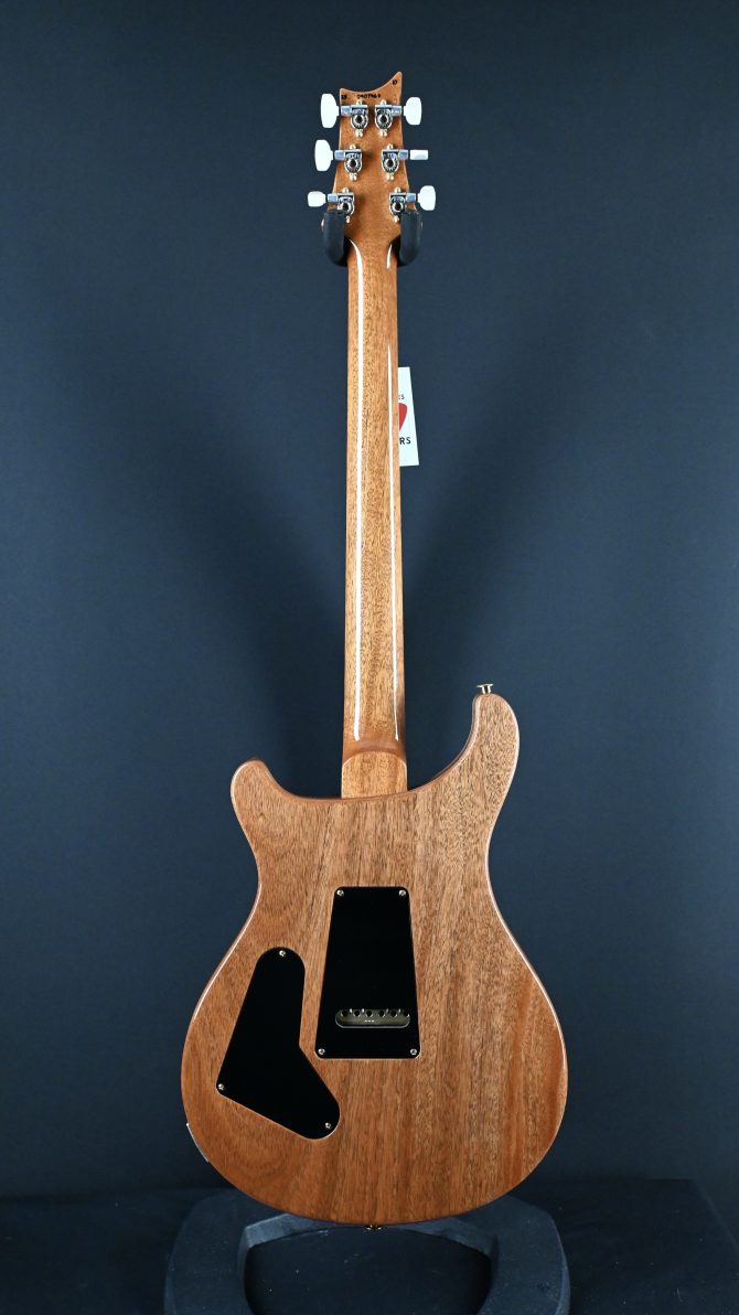 PRS Custom 24 10-Top Aurora Borealis 2025