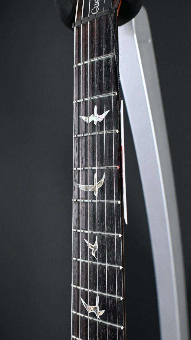 PRS Custom 24 10-Top Aurora Borealis 2025