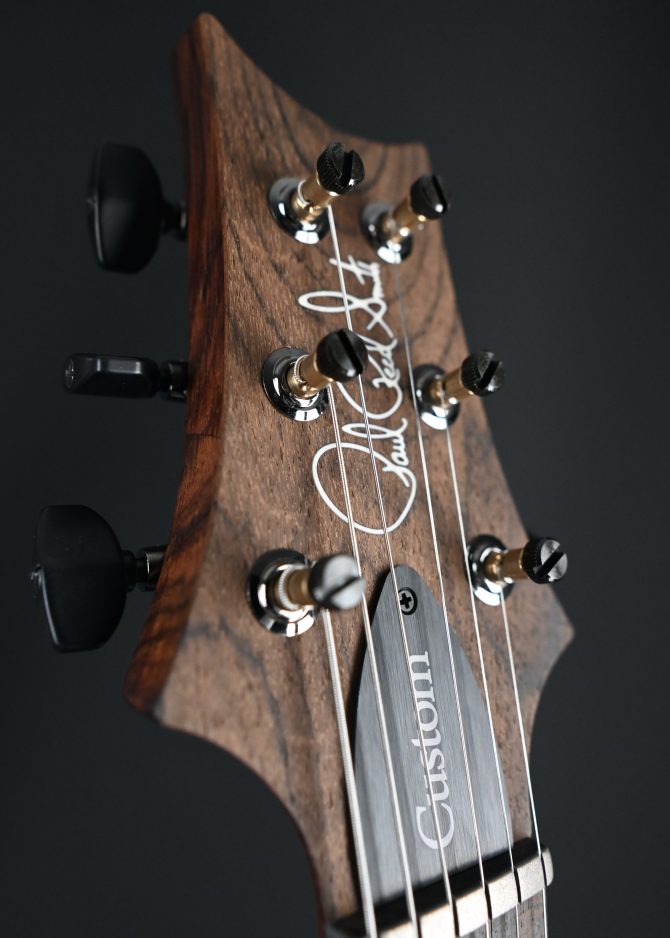 PRS Wood Library Custom 24 Piezo 10-Top Aurora Borealis #603
