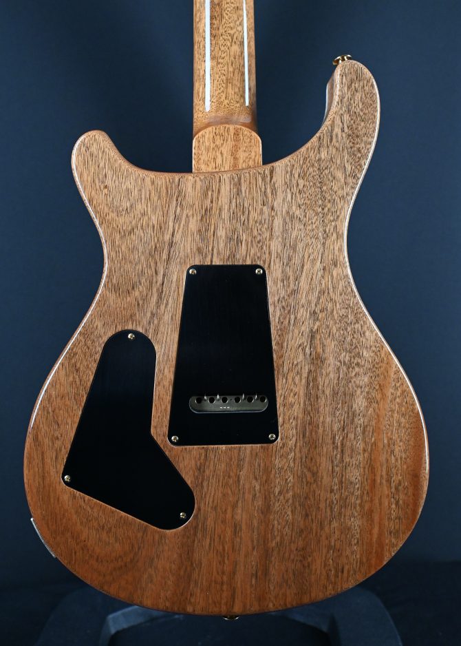 PRS Custom 24 10-Top Aurora Borealis 2025