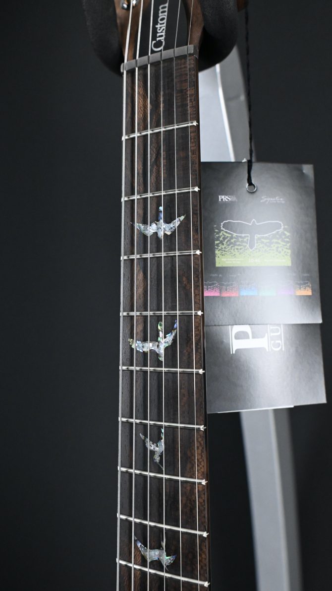PRS Wood Library Custom 24 Piezo 10-Top Aurora Borealis #603