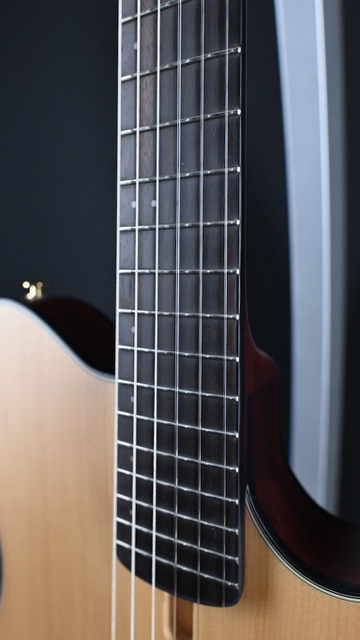 Ibanez FRH10N-NTF Natural #828