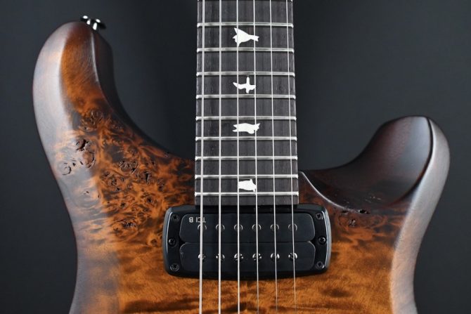 PRS S2 Wood Library Custom 24-08 Poplar Black Gold Burst #181
