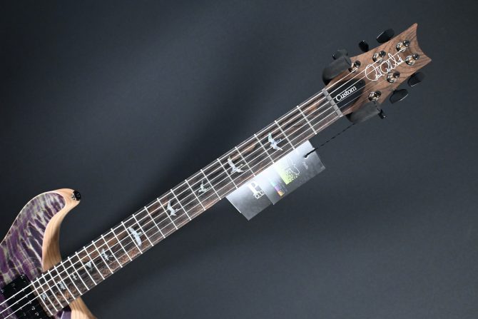 PRS Wood Library Custom 24 Piezo 10-Top Aurora Borealis #603