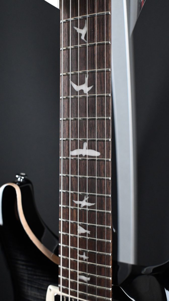PRS SE Special Semi-Hollow Charcoal Burst #763