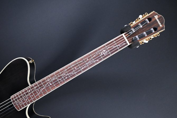 Ibanez TOD10N-TKF Transparent Black Flat 2024