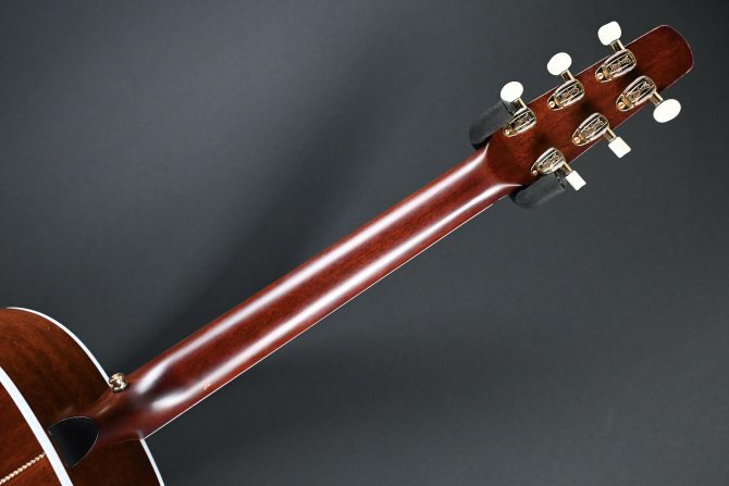 Seagull Seagull Artist Mosaic Anthem EQ Natural 2025