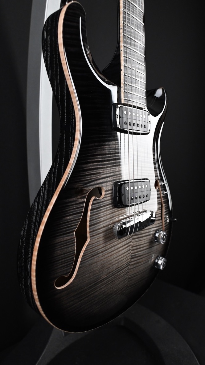 PRS Private Stock 30th Anniversary "Birds of a Feather" Hollowbody I #239