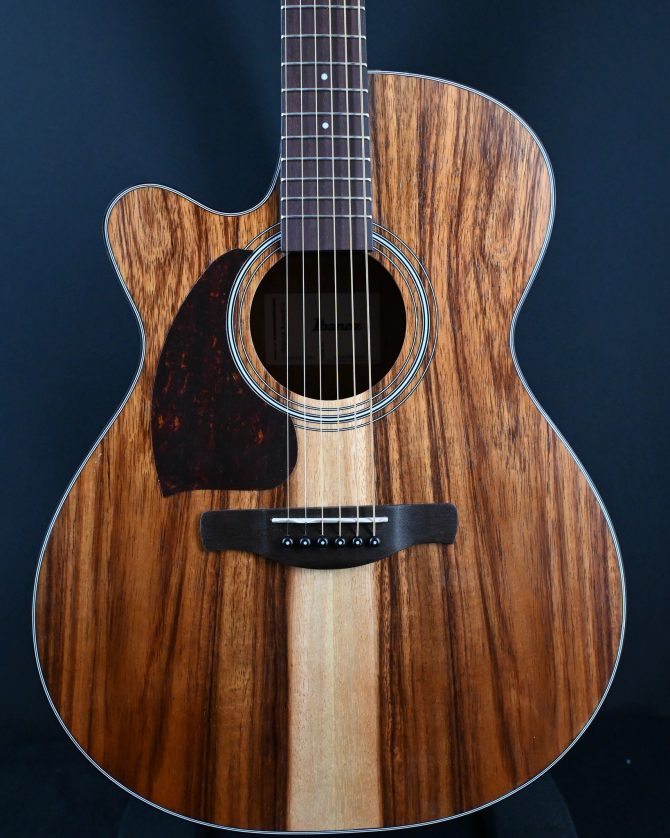 Ibanez PC50WSLCE-OPB Open Pore Brown Acoustic Guitar #041